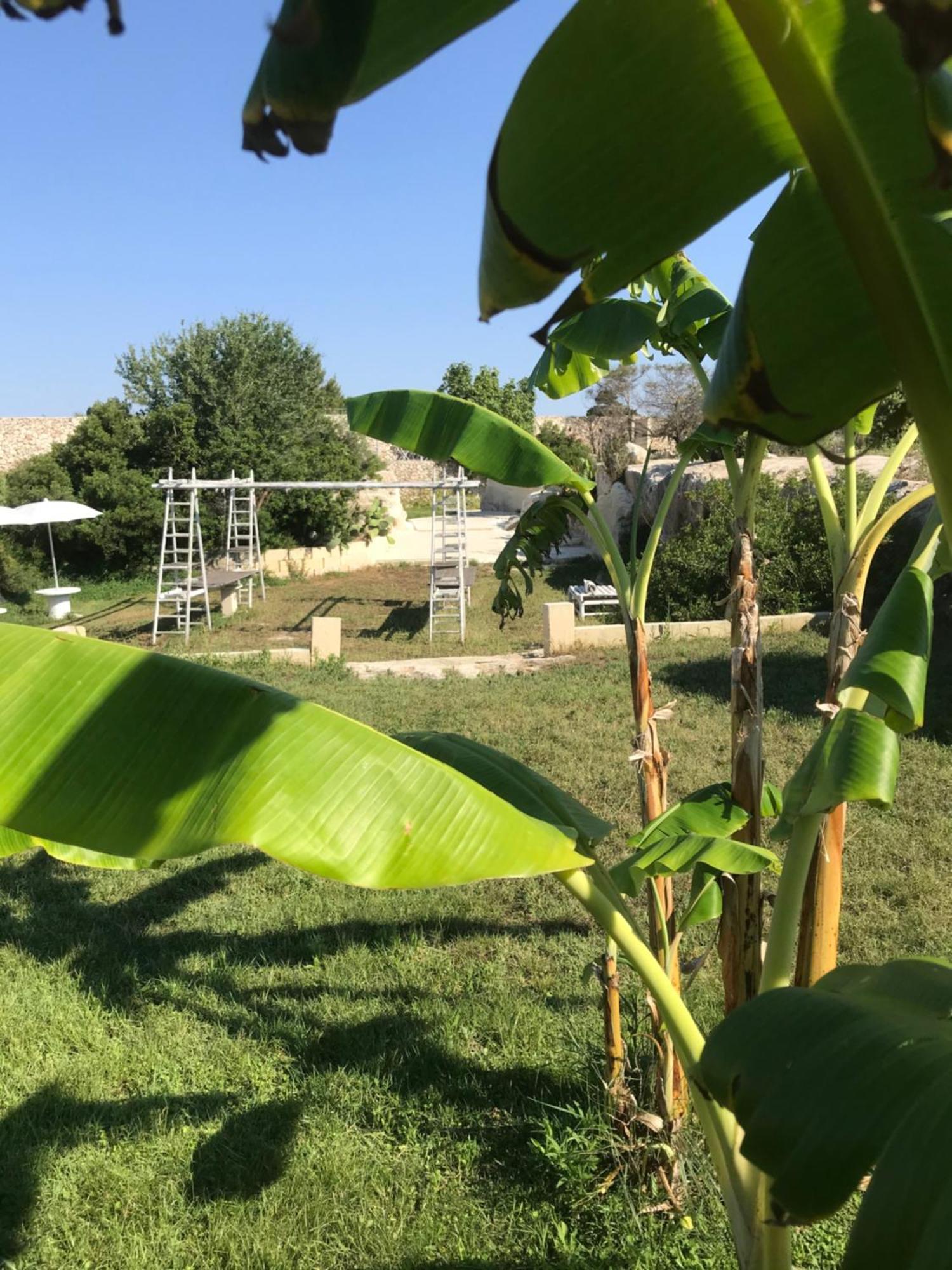 Masseria Gelsi Bed & Breakfast 3*