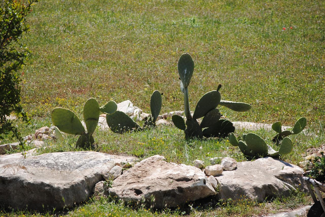 Masseria Gelsi 3* Torre Chianca