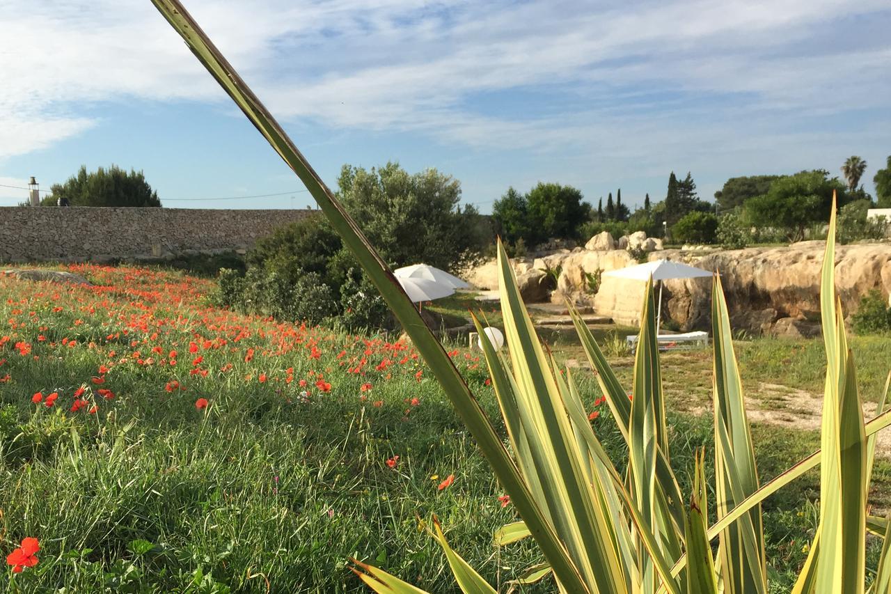 Bed & Breakfast Masseria Gelsi Torre Chianca