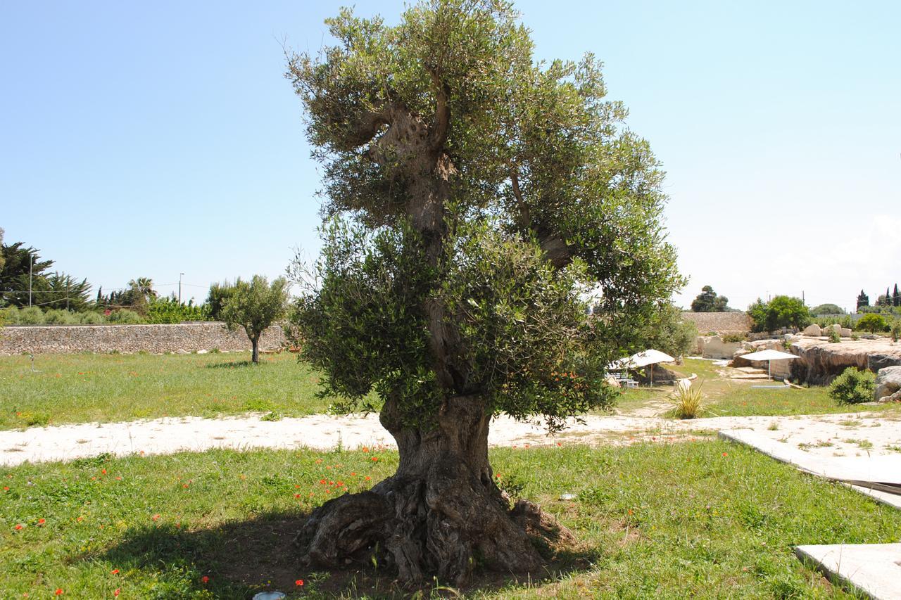 Bed & Breakfast Masseria Gelsi Torre Chianca