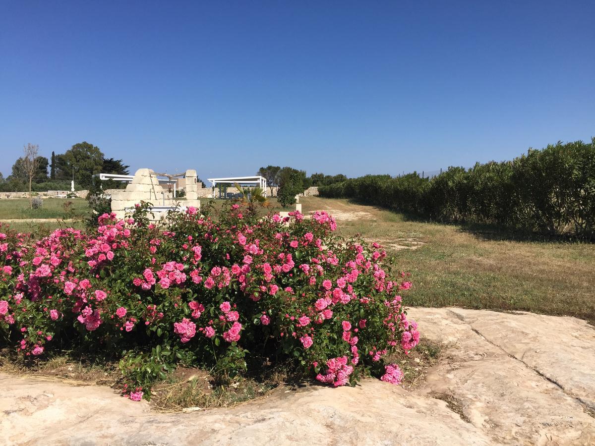 Masseria Gelsi Torre Chianca
