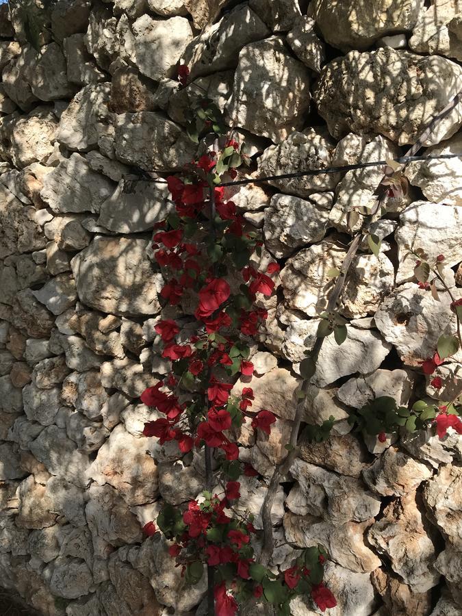 Bed & Breakfast Masseria Gelsi Torre Chianca