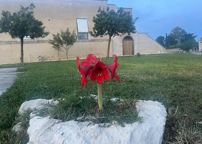 Masseria Gelsi