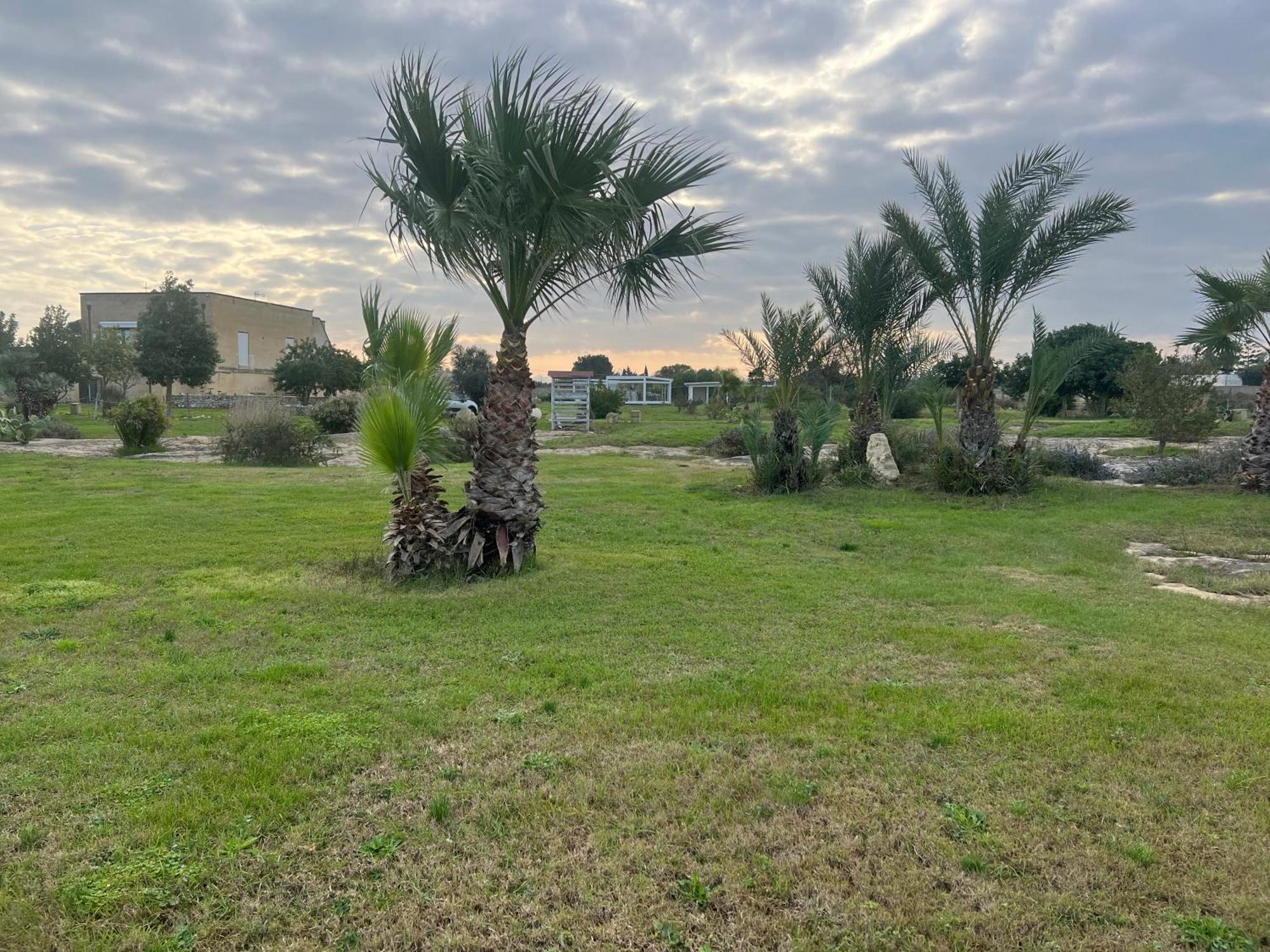 Masseria Gelsi 3*