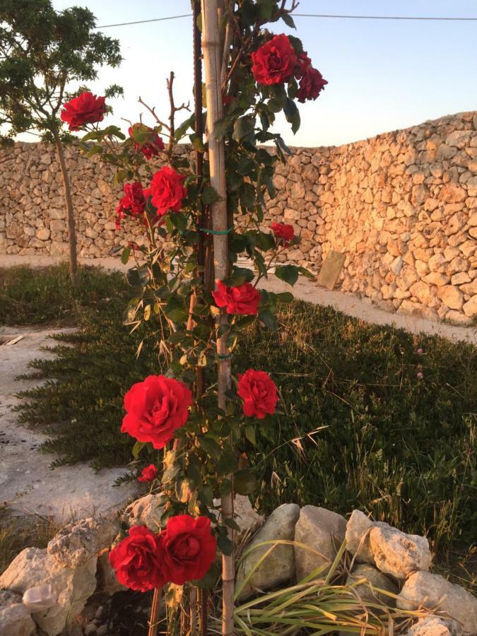 Couette-café Masseria Gelsi